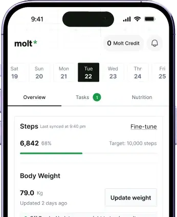 Progress across workouts, meals, and habits