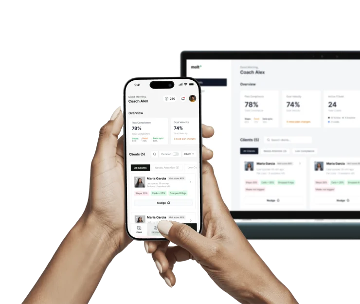 Coach dashboard preview