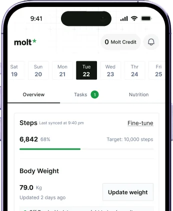 Progress across workouts, meals, and habits